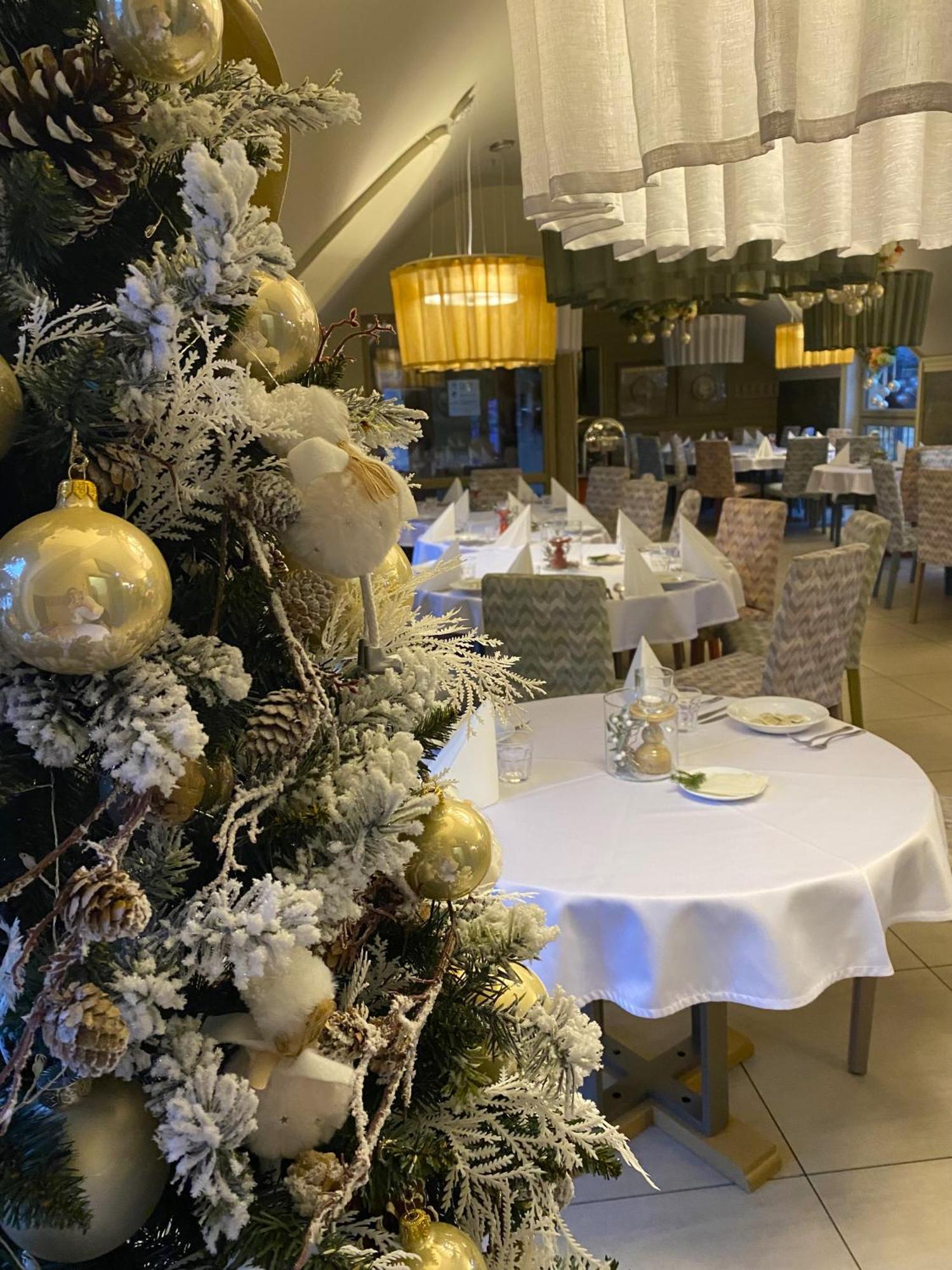 Ski&Spa Zieleniec Duszniki Zdrój Dış mekan fotoğraf