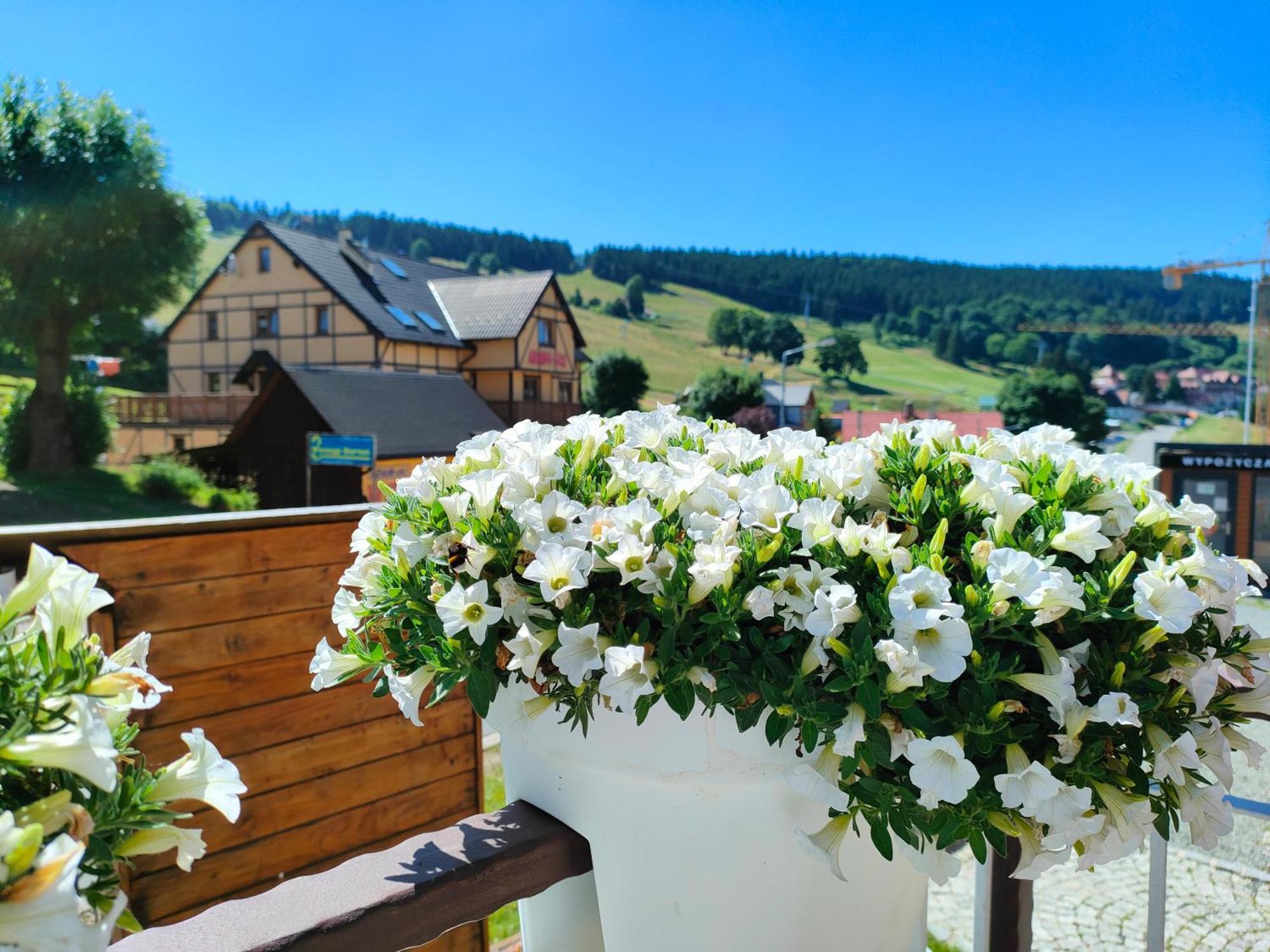 Ski&Spa Zieleniec Duszniki Zdrój Dış mekan fotoğraf